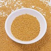 MIYUKI Delica Beads X-SEED-J020-DB0651-2