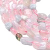 Natural Morganite Beads Strands G-P601-A03-02-4