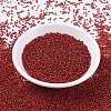 MIYUKI Round Rocailles Beads X-SEED-G007-RR0011-2
