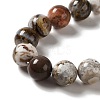 Natural Mexican Lace Agate Beads Strands G-E578-02C-3