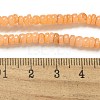 Dyed Natural Freshwater Shell Beads Strands BSHE-G039-07A-4