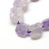 Natural Amethyst Beads Strands G-R421-08-1