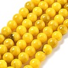 Natural Persian Jade Beads Strands G-A255-A02-02I-1