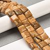 Natural Dolomite Beads Strands G-F765-C02-01-2