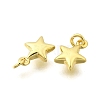 Brass Pendants KK-I275-09G-01-2