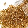 TOHO Round Seed Beads X-SEED-TR08-0753-1