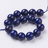 Natural Lapis Lazuli Beads Strands G-G087-12mm-2