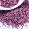 MIYUKI Delica Beads SEED-X0054-DB2137-1