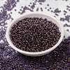 MIYUKI Round Rocailles Beads X-SEED-G008-RR1884-2