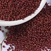 MIYUKI Round Rocailles Beads SEED-JP0010-RR4469-1