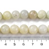 Natural New Jade Beads Strands G-F591-16-10MM-6