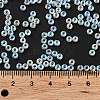 Transparent Glass Seed Beads SEED-Z001-B-D03-4