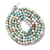 Natural Howlite Beads Strands G-H025-04A-3