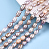 Natural Cultured Freshwater Pearl Beads Strands PEAR-S017-009-2