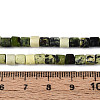 Natural Serpentine Beads Strands G-T141-90B-5