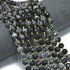 Natural Snowflake Obsidian Beads Strands G-K389-E86-01-2