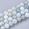 Natural Aquamarine Beads Strands G-S345-10mm-013-1