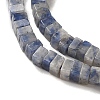 Natural Blue Spot Jasper Beads Strands G-N342-82-4