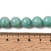 Natural Amazonite Bead Strands G-P204-02-10mm-6