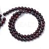 Natural Bloodstone Beads Strands G-R412-06-8mm-2