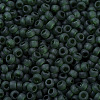 MIYUKI Round Rocailles Beads X-SEED-G007-RR0156F-3