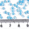 8/0 Glass Seed Beads X-SEED-A014-3mm-133B-4