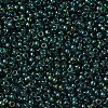 MIYUKI Round Rocailles Beads X-SEED-G007-RR0338-2