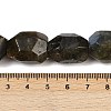 Natural Labradorite Beads Strands G-F796-C10-01-5