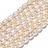 Natural Cultured Freshwater Pearl Beads Strands PEAR-S017-001-3