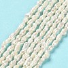 Natural Baroque Pearl Keshi Pearl Beads Strands PEAR-E016-142-2