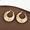 Brass Hoop Earrings EJEW-H168-07G-3