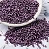 MIYUKI Round Rocailles Beads SEED-JP0009-RR4489-1