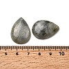 Natural Labradorite Pendants G-F760-01B-06-02-3