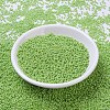 MIYUKI Round Rocailles Beads SEED-X0054-RR0479-2