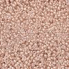 MIYUKI Round Rocailles Beads X-SEED-G007-RRHB279-2