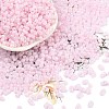 Baking Paint Glass Seed Beads SEED-L011-09A-09-1