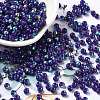 Glass Seed Beads SEED-H002-A-A619-1