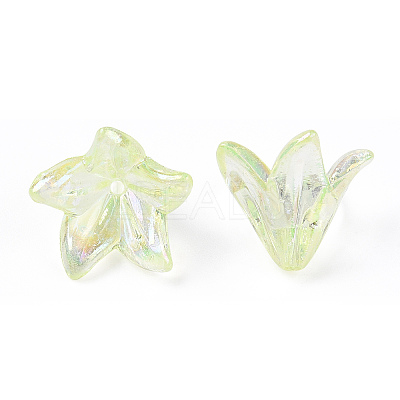 Transparent Acrylic Bead Caps OACR-H016-05C-1
