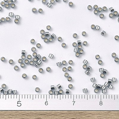 MIYUKI Delica Beads SEED-X0054-DB0048-1