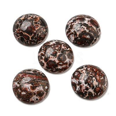 Natural Leopard Skin Jasper Cabochons G-C115-02A-44-1