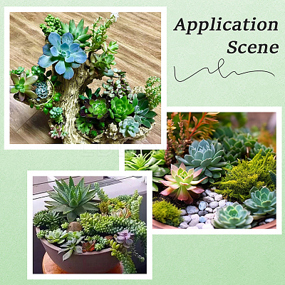 PVC Artificial Succulent Plant AJEW-SP0004-35B-1