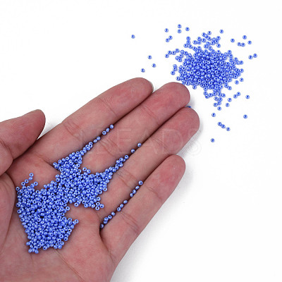 11/0 Czech Opaque Glass Seed Beads SEED-N004-003B-26-1