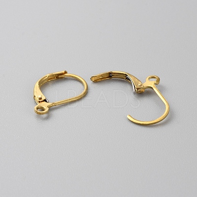 Brass Leverback Earring Findings KK-WH0044-142D-G-1