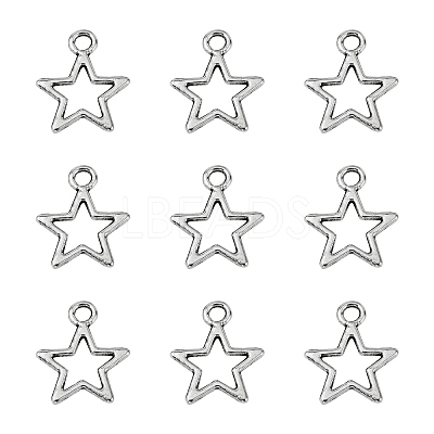Tibetan Style Alloy Charms LS-K0PGH021-1