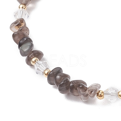 Natural Apatite Chip Beaded Bracelets for Women BJEW-JB11742-08-1