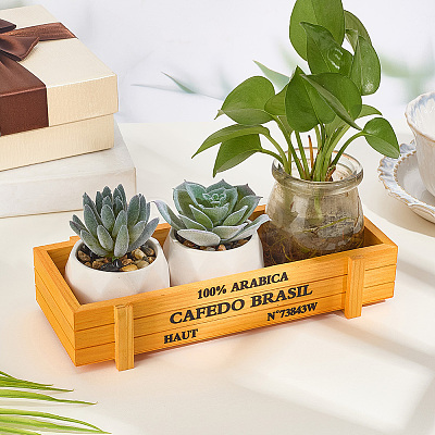 2Pcs Wooden Coffee Bean Storage Boxes CON-CL0001-06-1