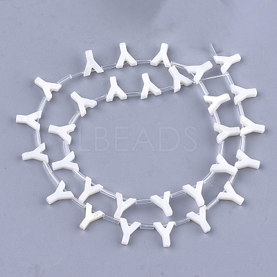 Natural Freshwater Shell Beads SHEL-T012-59Y-1