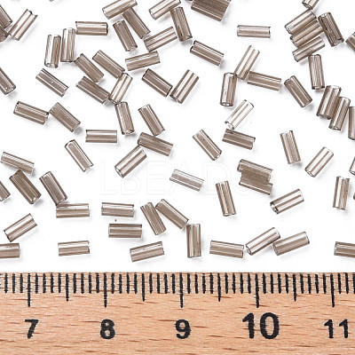 Transparent Glass Bugle Beads SEED-N005-001-C04-1