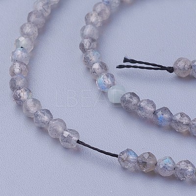 Natural Labradorite Beads Strands X-G-F619-15-3mm-1