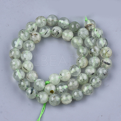 Natural Prehnite Beads Strands X-G-S333-8mm-032-1